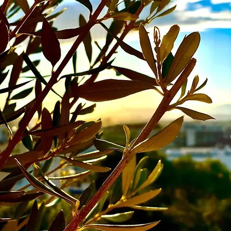 Apartman Rooftop - Quartier Croisette - Esc'appart *