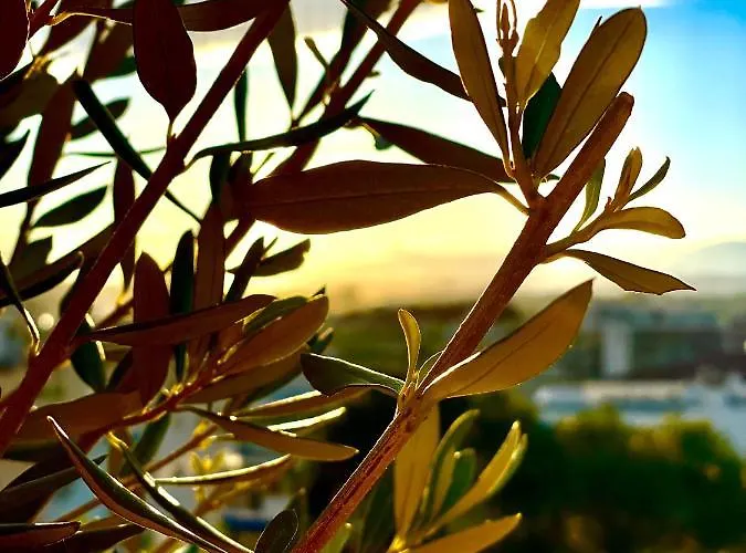 Apartmán Rooftop - Quartier Croisette - Esc'appart *