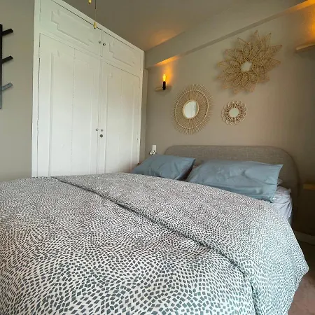 Rooftop - Quartier Croisette - Esc'appart كان